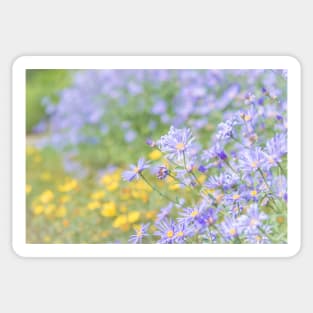 Purple and Yellow Flowers in Summer Garden Sticker